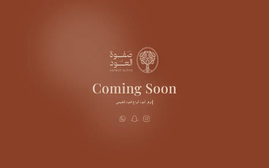 Safwat Aloud website